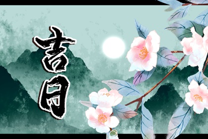 日家九星怎么查